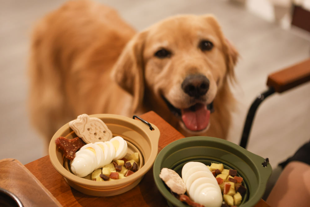 台北大稻埕咖啡廳｜鼠皮咖啡soopi cafe。迪化街附近的寵物友善餐廳、免費招待毛孩一份狗狗餐點👍