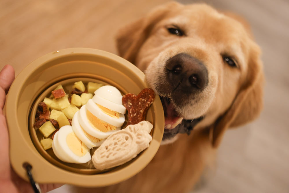 台北大稻埕咖啡廳｜鼠皮咖啡soopi cafe。迪化街附近的寵物友善餐廳、免費招待毛孩一份狗狗餐點👍