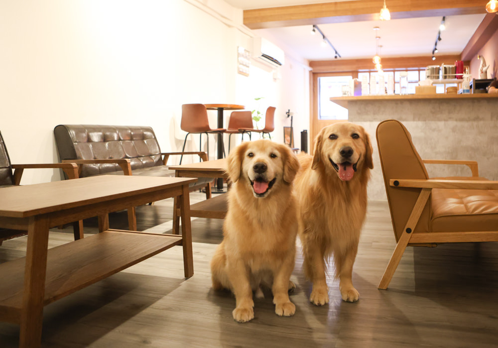 台北大稻埕咖啡廳｜鼠皮咖啡soopi cafe。迪化街附近的寵物友善餐廳、免費招待毛孩一份狗狗餐點👍