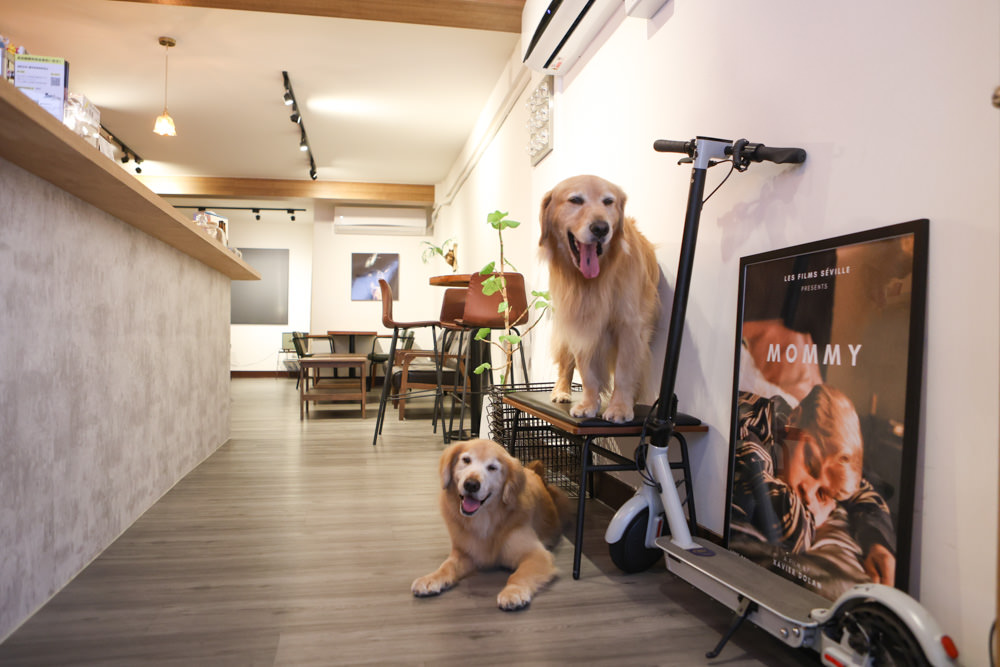 台北大稻埕咖啡廳｜鼠皮咖啡soopi cafe。迪化街附近的寵物友善餐廳、免費招待毛孩一份狗狗餐點👍