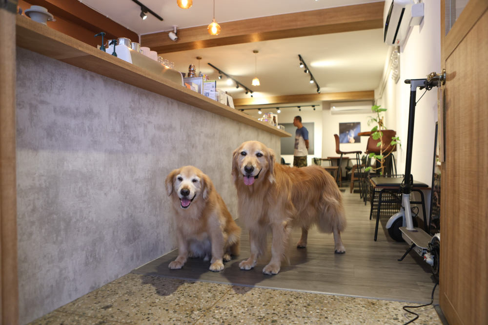 台北大稻埕咖啡廳｜鼠皮咖啡soopi cafe。迪化街附近的寵物友善餐廳、免費招待毛孩一份狗狗餐點👍