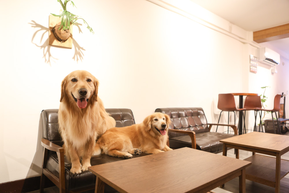 台北大稻埕咖啡廳｜鼠皮咖啡soopi cafe。迪化街附近的寵物友善餐廳、免費招待毛孩一份狗狗餐點👍