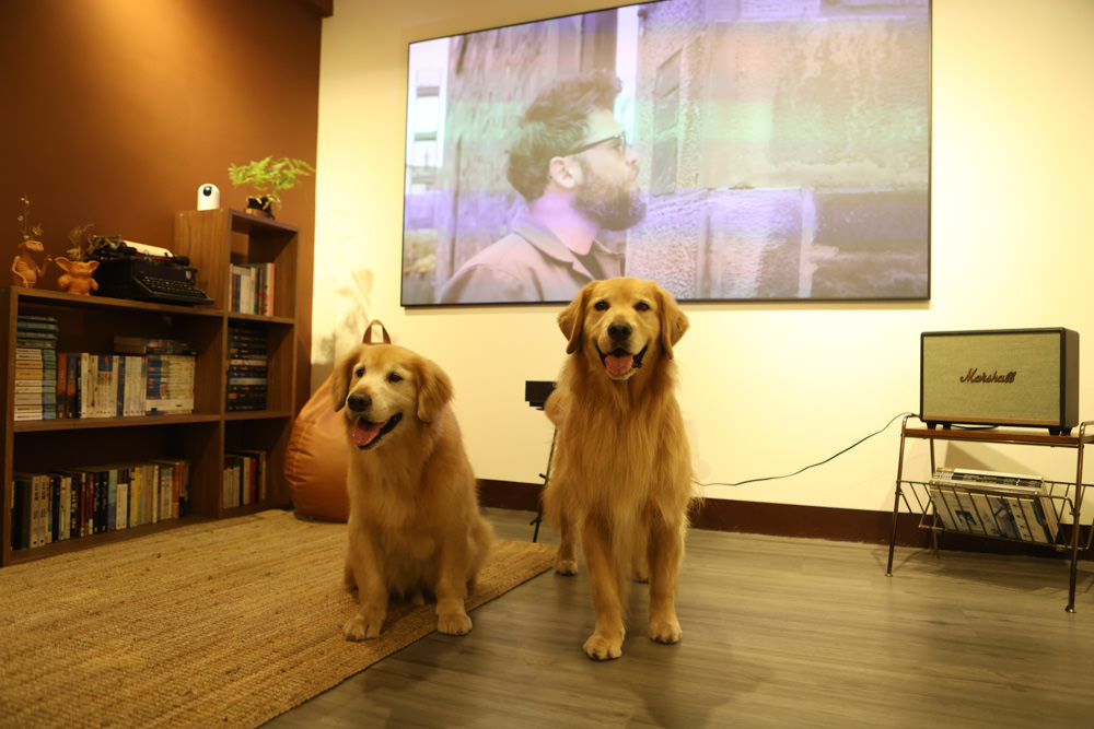 台北大稻埕咖啡廳｜鼠皮咖啡soopi cafe。迪化街附近的寵物友善餐廳、免費招待毛孩一份狗狗餐點👍