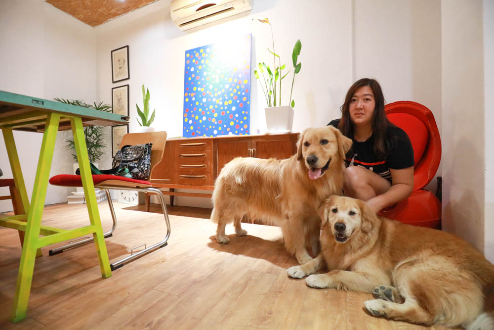 花蓮壽豐美食｜龍蝦堡製造所。寵物友善餐廳、現撈生猛龍蝦、龍蝦堡、龍蝦麵、無敵海景！！