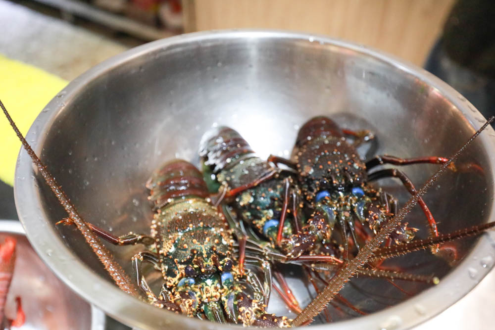花蓮壽豐美食｜龍蝦堡製造所。寵物友善餐廳、現撈生猛龍蝦、龍蝦堡、龍蝦麵、無敵海景！！