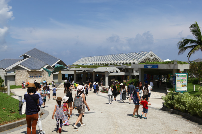沖繩水族館-5.jpg