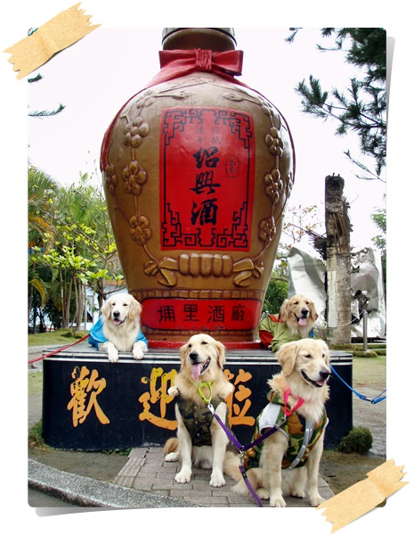 埔里酒廠