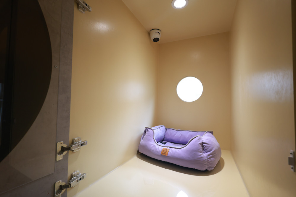 國寶寵物 喵汪美安宿-天母旗艦館|寵物六星級旅館、寵物安親住宿、寵物 溫水游泳池、寵物美容推薦|寵物六星級旅館、寵物安親住宿、寵物溫水游泳池、寵物美容推薦 - 第15張圖 國寶寵物 喵汪美安宿-天母旗艦館|寵物六星級旅館、寵物安親住宿、寵物 溫水游泳池、寵物美容推薦|寵物六星級旅館、寵物安親住宿、寵物溫水游泳池、寵物美容推薦