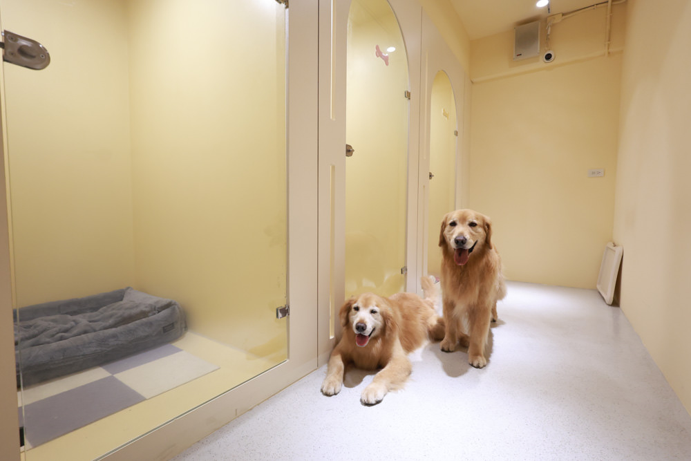 國寶寵物 喵汪美安宿-天母旗艦館|寵物六星級旅館、寵物安親住宿、寵物 溫水游泳池、寵物美容推薦|寵物六星級旅館、寵物安親住宿、寵物溫水游泳池、寵物美容推薦 - 第18張圖 國寶寵物 喵汪美安宿-天母旗艦館|寵物六星級旅館、寵物安親住宿、寵物 溫水游泳池、寵物美容推薦|寵物六星級旅館、寵物安親住宿、寵物溫水游泳池、寵物美容推薦