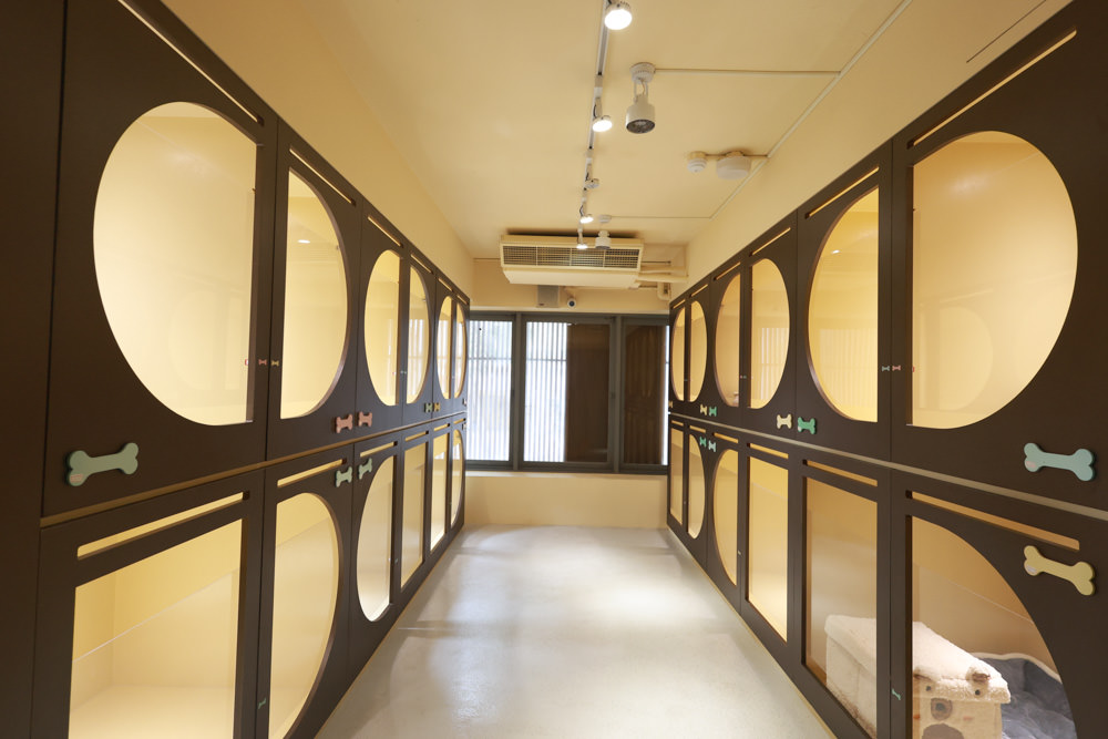 國寶寵物 喵汪美安宿-天母旗艦館|寵物六星級旅館、寵物安親住宿、寵物 溫水游泳池、寵物美容推薦|寵物六星級旅館、寵物安親住宿、寵物溫水游泳池、寵物美容推薦 - 第14張圖 國寶寵物 喵汪美安宿-天母旗艦館|寵物六星級旅館、寵物安親住宿、寵物 溫水游泳池、寵物美容推薦|寵物六星級旅館、寵物安親住宿、寵物溫水游泳池、寵物美容推薦