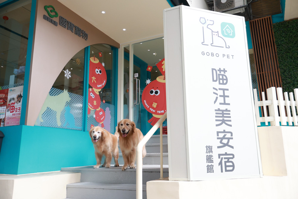 國寶寵物 喵汪美安宿-天母旗艦館|寵物六星級旅館、寵物安親住宿、寵物 溫水游泳池、寵物美容推薦|寵物六星級旅館、寵物安親住宿、寵物溫水游泳池、寵物美容推薦 - 第1張圖 國寶寵物 喵汪美安宿-天母旗艦館|寵物六星級旅館、寵物安親住宿、寵物 溫水游泳池、寵物美容推薦|寵物六星級旅館、寵物安親住宿、寵物溫水游泳池、寵物美容推薦