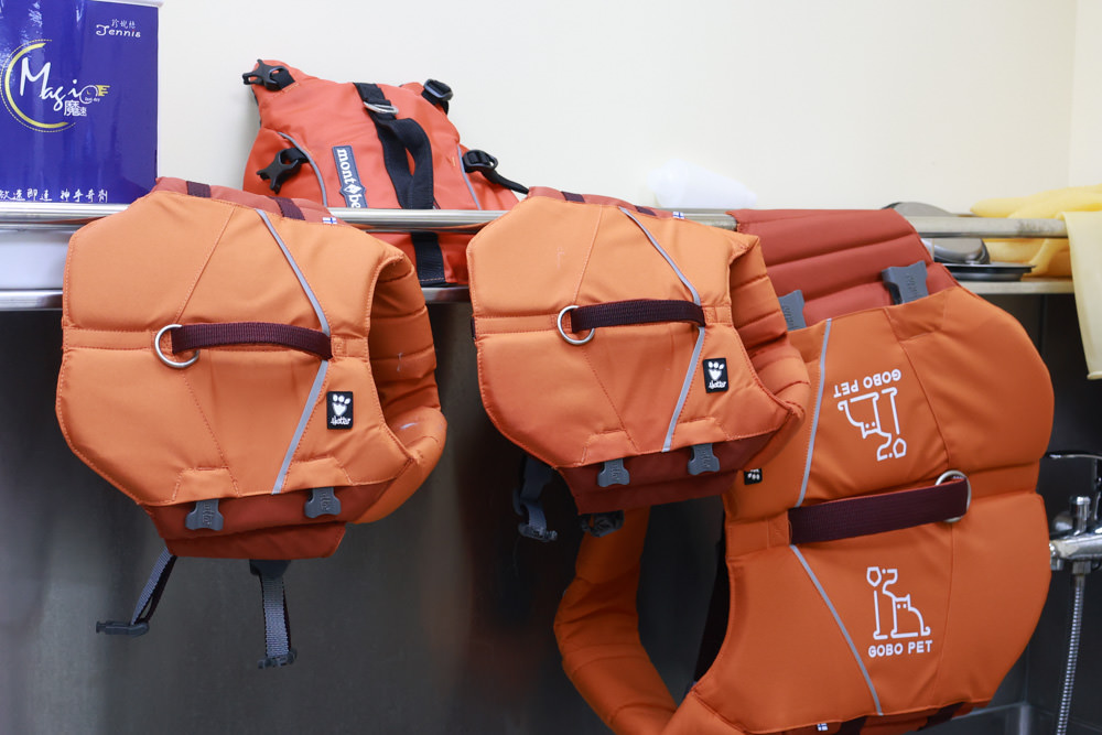 國寶寵物 喵汪美安宿-天母旗艦館|寵物六星級旅館、寵物安親住宿、寵物 溫水游泳池、寵物美容推薦|寵物六星級旅館、寵物安親住宿、寵物溫水游泳池、寵物美容推薦 - 第30張圖 國寶寵物 喵汪美安宿-天母旗艦館|寵物六星級旅館、寵物安親住宿、寵物 溫水游泳池、寵物美容推薦|寵物六星級旅館、寵物安親住宿、寵物溫水游泳池、寵物美容推薦