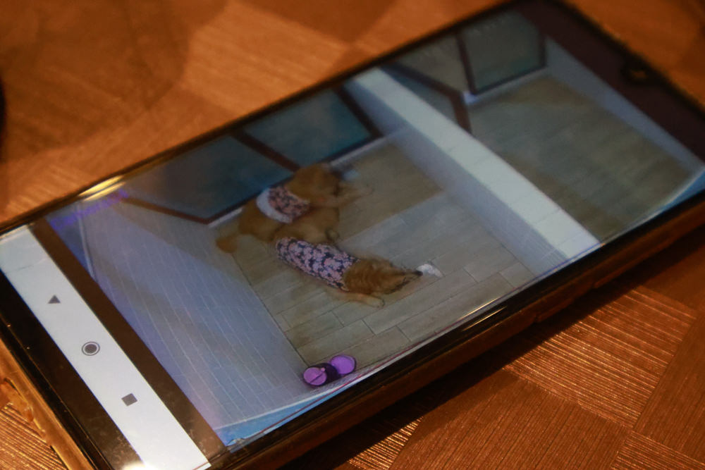 宜蘭五結美食｜饗宴鐵板燒。開業20年的頂級無菜單料理鐵板燒、宜蘭在地食材、互動式鐵板燒、寵物友善專屬VIP房