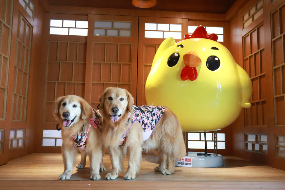 宜蘭美食｜古亭穀倉韓雞一號倉尺洞。韓式經典長鐵板料理、寵物友善燒餐廳、宜蘭壯圍美食