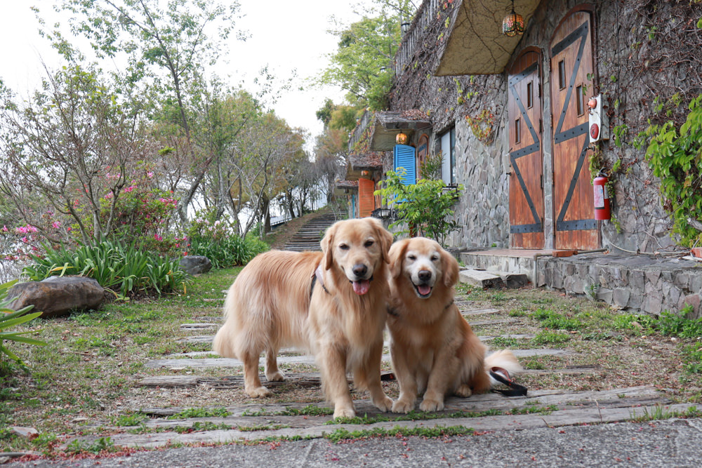 南投清境｜日初雲來城堡莊園。清境頂級寵物友善民宿、靜謐莊園浪漫賞櫻、都鐸式歐風特色建築