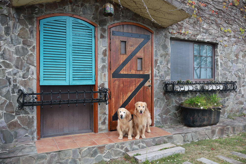 南投清境｜日初雲來城堡莊園。清境頂級寵物友善民宿、靜謐莊園浪漫賞櫻、都鐸式歐風特色建築