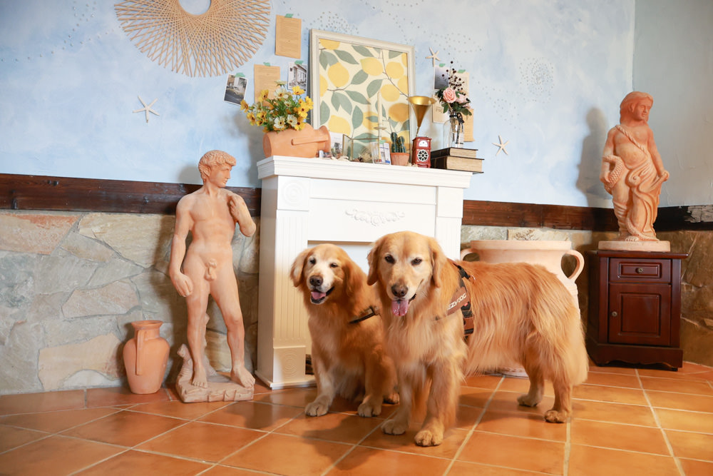 南投清境｜日初雲來城堡莊園。清境頂級寵物友善民宿、靜謐莊園浪漫賞櫻、都鐸式歐風特色建築