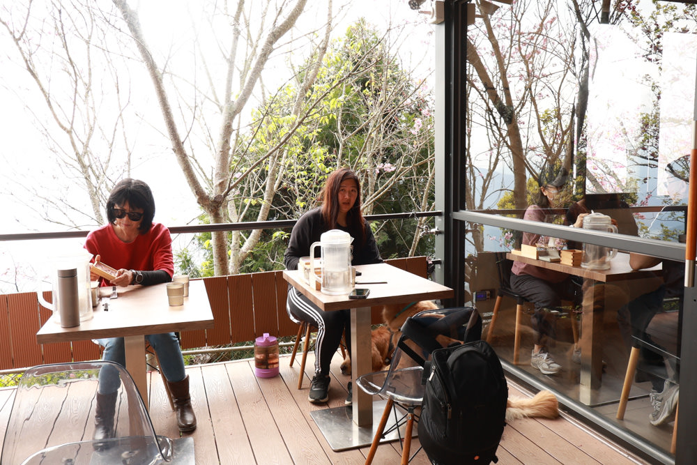 清境美食｜星嵐拉麵。一週只營業三天的絕美玻璃屋拉麵店、戶外座位區可攜帶寵物、粉嫩櫻花季、遠眺霧社水庫