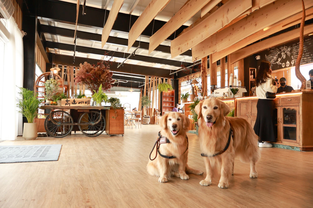 南投清境美食|Mountain Bica Cafe 彼卡山咖啡廳。寵物友善餐廳、清境最美玻璃屋咖啡廳 - 第32張圖 南投清境美食|Mountain Bica Cafe 彼卡山咖啡廳。寵物友善餐廳、清境最美玻璃屋咖啡廳