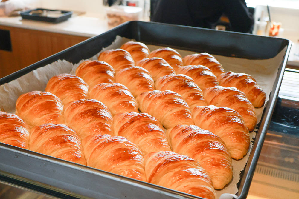 南投清境美食|Mountain Bica Cafe 彼卡山咖啡廳。寵物友善餐廳、清境最美玻璃屋咖啡廳 - 第11張圖 南投清境美食|Mountain Bica Cafe 彼卡山咖啡廳。寵物友善餐廳、清境最美玻璃屋咖啡廳