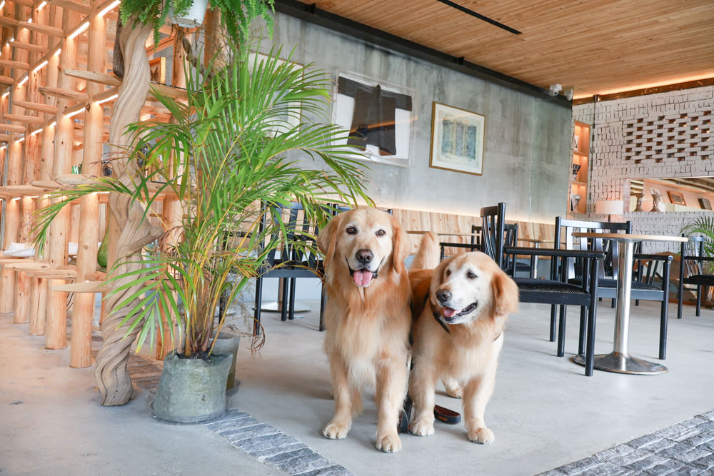 南投清境美食|Mountain Bica Cafe 彼卡山咖啡廳。寵物友善餐廳、清境最美玻璃屋咖啡廳 - 第16張圖 南投清境美食|Mountain Bica Cafe 彼卡山咖啡廳。寵物友善餐廳、清境最美玻璃屋咖啡廳