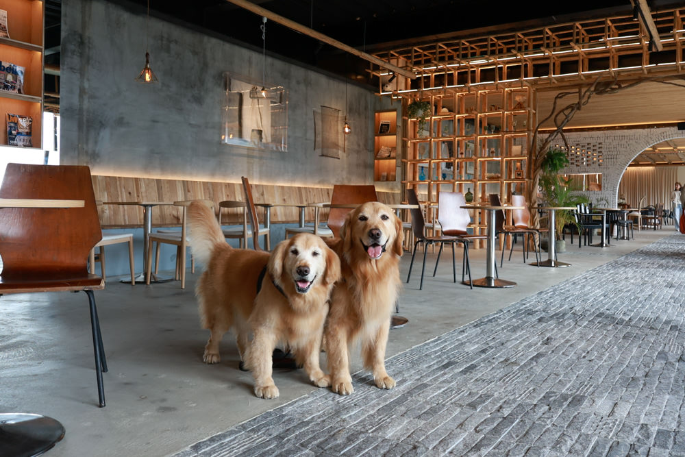 南投清境美食|Mountain Bica Cafe 彼卡山咖啡廳。寵物友善餐廳、清境最美玻璃屋咖啡廳 - 第18張圖 南投清境美食|Mountain Bica Cafe 彼卡山咖啡廳。寵物友善餐廳、清境最美玻璃屋咖啡廳