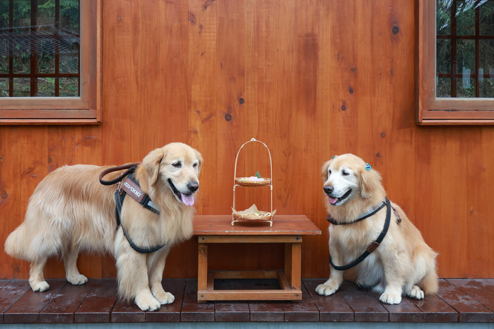 南投日月潭｜日月潭湖的怪物。日式咖啡屋、湖怪紅龜粿點心架、日式榻榻米咖啡廳、日月潭特色咖啡廳