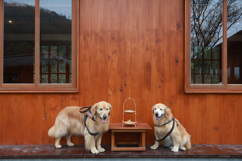 南投日月潭｜日月潭湖的怪物。日式咖啡屋、湖怪紅龜粿點心架、日式榻榻米咖啡廳、日月潭特色咖啡廳