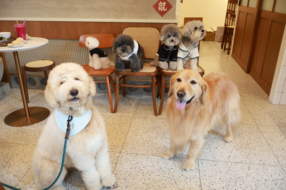 林口美食｜滿宅。寵物友善餐廳、日系手作飯糰、隱藏巷弄中的早午餐、日式復古風飯糰