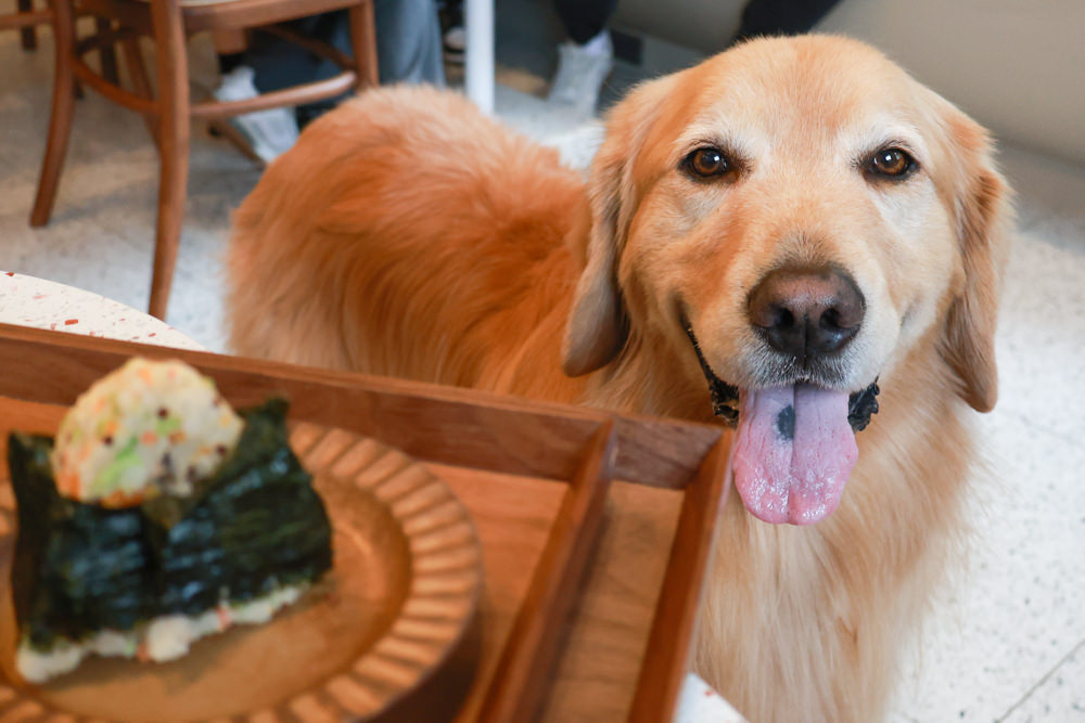 林口美食｜滿宅。寵物友善餐廳、日系手作飯糰、隱藏巷弄中的早午餐、日式復古風飯糰