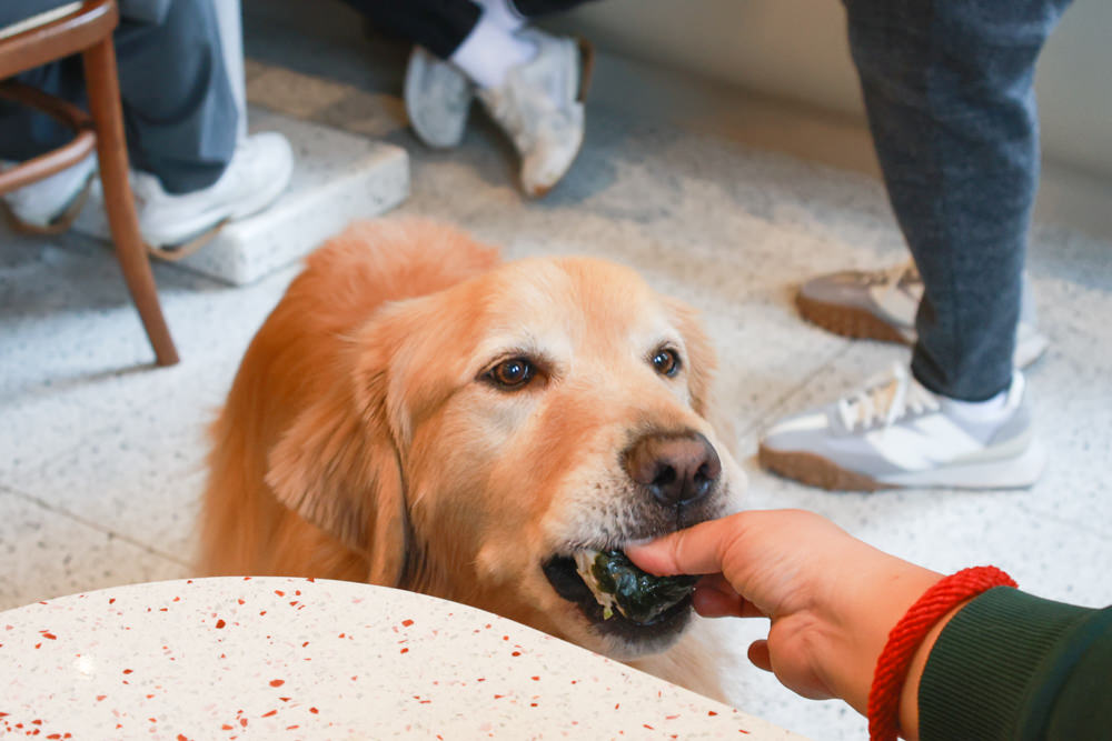 林口美食｜滿宅。寵物友善餐廳、日系手作飯糰、隱藏巷弄中的早午餐、日式復古風飯糰