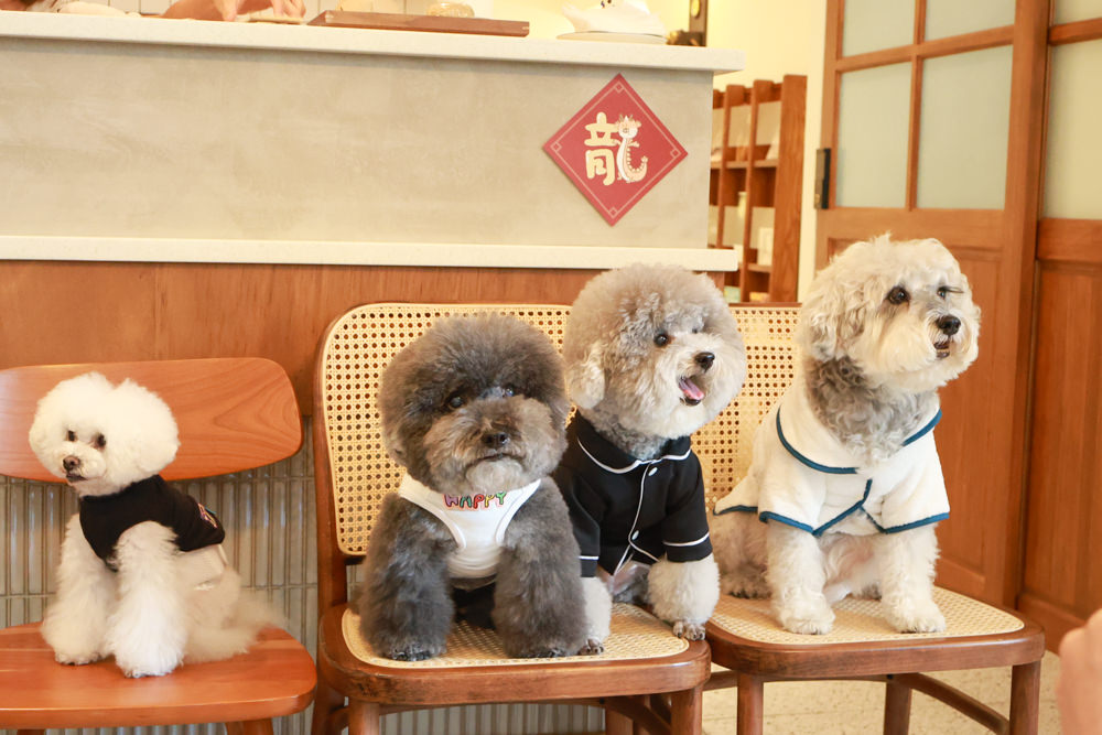 林口美食｜滿宅。寵物友善餐廳、日系手作飯糰、隱藏巷弄中的早午餐、日式復古風飯糰