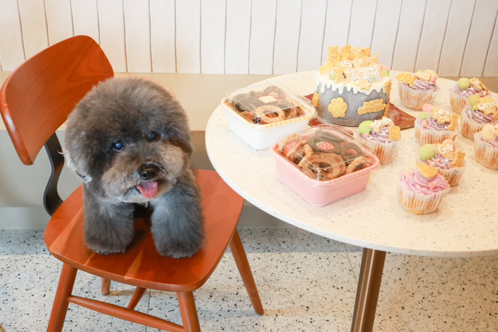 林口美食｜滿宅。寵物友善餐廳、日系手作飯糰、隱藏巷弄中的早午餐、日式復古風飯糰