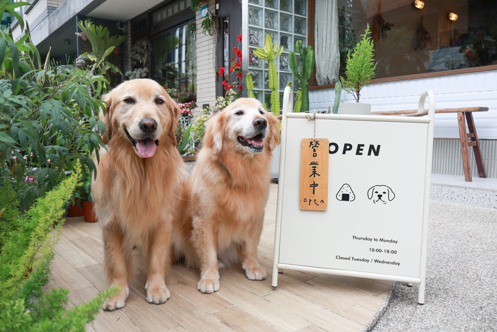 林口美食｜滿宅。寵物友善餐廳、日系手作飯糰、隱藏巷弄中的早午餐、日式復古風飯糰