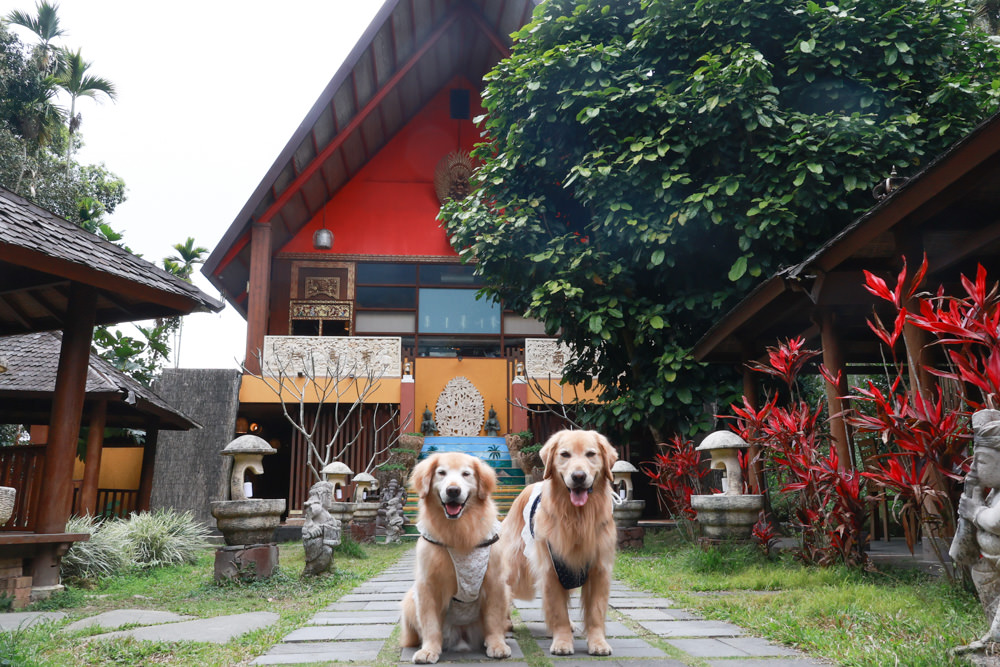 南投魚池美食｜烏布雨林峇里島主題餐廳。隱藏在日月潭山林裡的峇里島宮殿、寵物需放置推車中才可進入餐廳