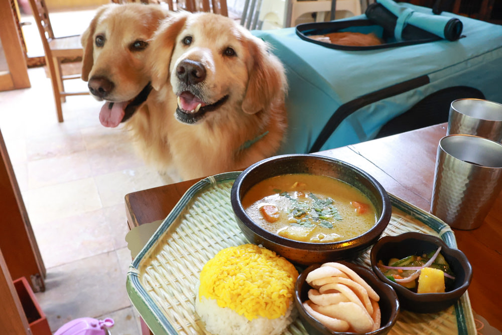 南投魚池美食｜烏布雨林峇里島主題餐廳。隱藏在日月潭山林裡的峇里島宮殿、寵物需放置推車中才可進入餐廳