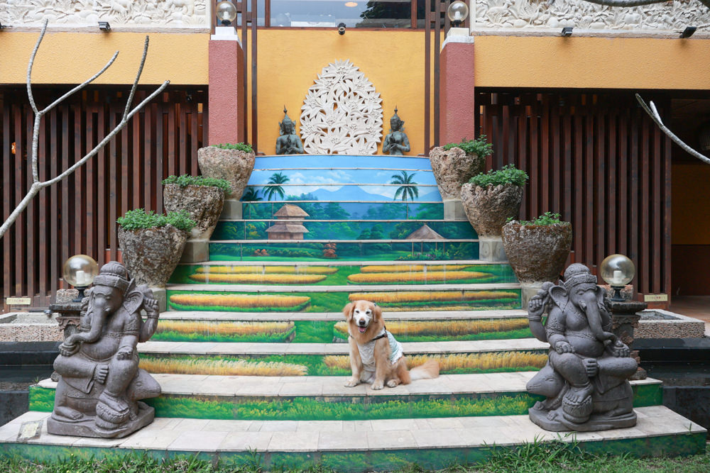 南投魚池美食｜烏布雨林峇里島主題餐廳。隱藏在日月潭山林裡的峇里島宮殿、寵物需放置推車中才可進入餐廳