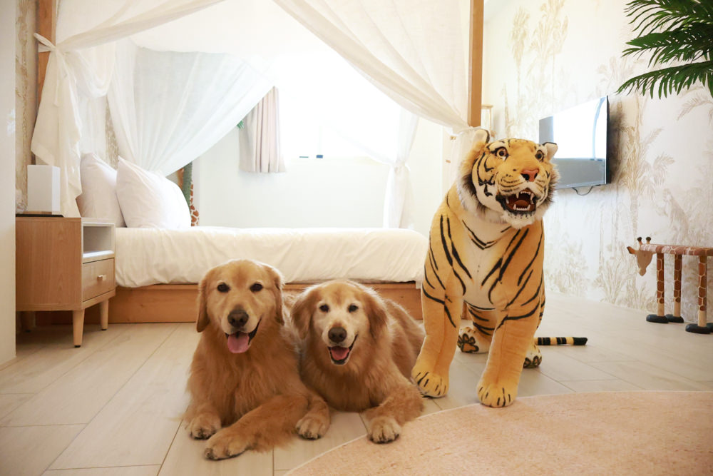 宜蘭壯圍生生園The Wild包棟民宿|森林系寵物友善民宿、動物園親子民宿、九宮格港點早餐 - 第66張圖 宜蘭壯圍生生園The Wild包棟民宿|森林系寵物友善民宿、動物園親子民宿、九宮格港點早餐