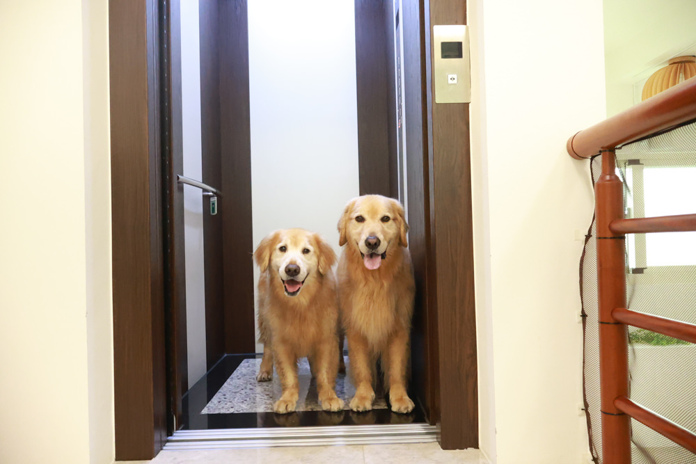 宜蘭壯圍生生園The Wild包棟民宿|森林系寵物友善民宿、動物園親子民宿、九宮格港點早餐 - 第34張圖 宜蘭壯圍生生園The Wild包棟民宿|森林系寵物友善民宿、動物園親子民宿、九宮格港點早餐