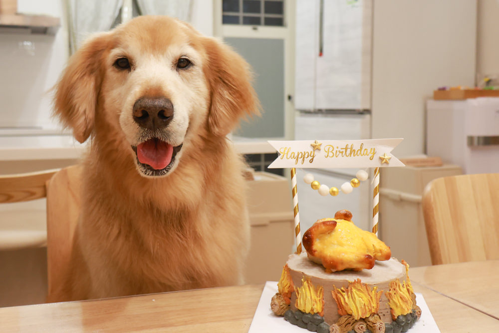 宜蘭壯圍生生園The Wild包棟民宿|森林系寵物友善民宿、動物園親子民宿、九宮格港點早餐 - 第70張圖 宜蘭壯圍生生園The Wild包棟民宿|森林系寵物友善民宿、動物園親子民宿、九宮格港點早餐