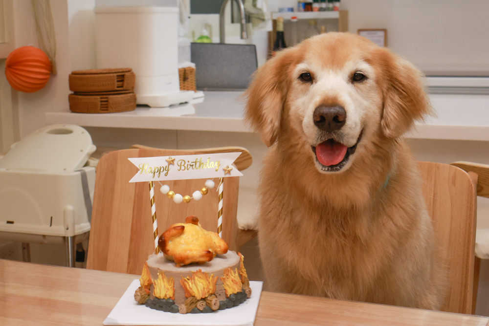 宜蘭壯圍生生園The Wild包棟民宿|森林系寵物友善民宿、動物園親子民宿、九宮格港點早餐 - 第71張圖 宜蘭壯圍生生園The Wild包棟民宿|森林系寵物友善民宿、動物園親子民宿、九宮格港點早餐