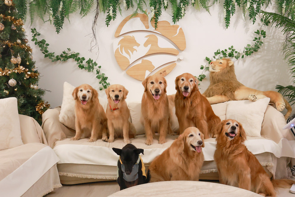 宜蘭壯圍生生園The Wild包棟民宿|森林系寵物友善民宿、動物園親子民宿、九宮格港點早餐 - 第11張圖 宜蘭壯圍生生園The Wild包棟民宿|森林系寵物友善民宿、動物園親子民宿、九宮格港點早餐