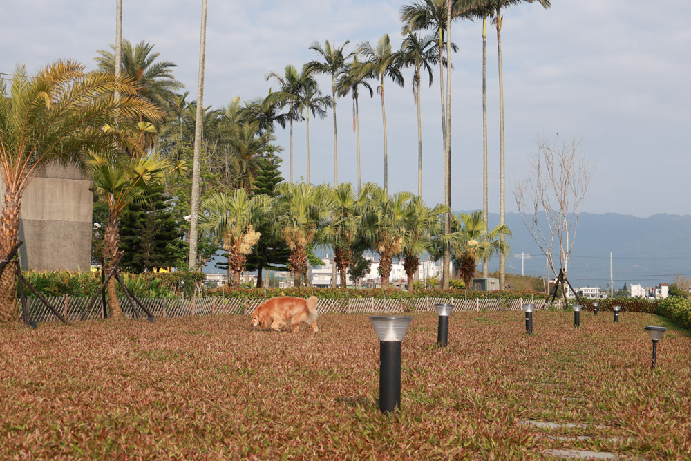 宜蘭壯圍生生園The Wild包棟民宿|森林系寵物友善民宿、動物園親子民宿、九宮格港點早餐 - 第6張圖 宜蘭壯圍生生園The Wild包棟民宿|森林系寵物友善民宿、動物園親子民宿、九宮格港點早餐