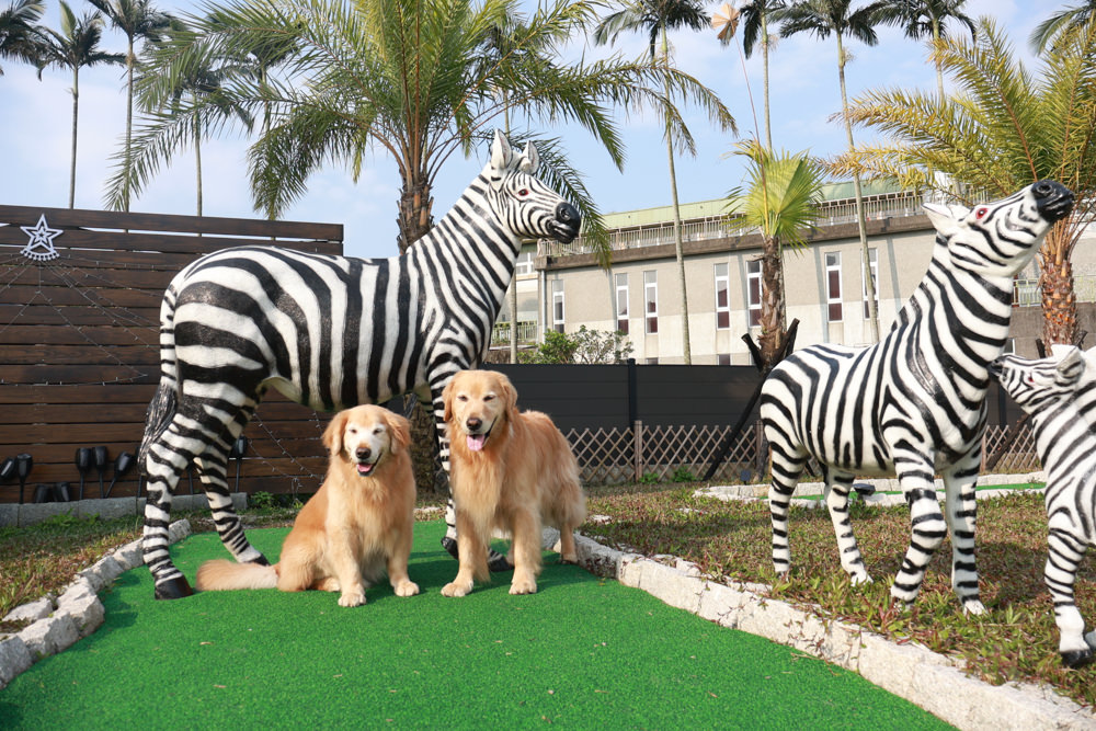 宜蘭壯圍生生園The Wild包棟民宿|森林系寵物友善民宿、動物園親子民宿、九宮格港點早餐 - 第5張圖 宜蘭壯圍生生園The Wild包棟民宿|森林系寵物友善民宿、動物園親子民宿、九宮格港點早餐