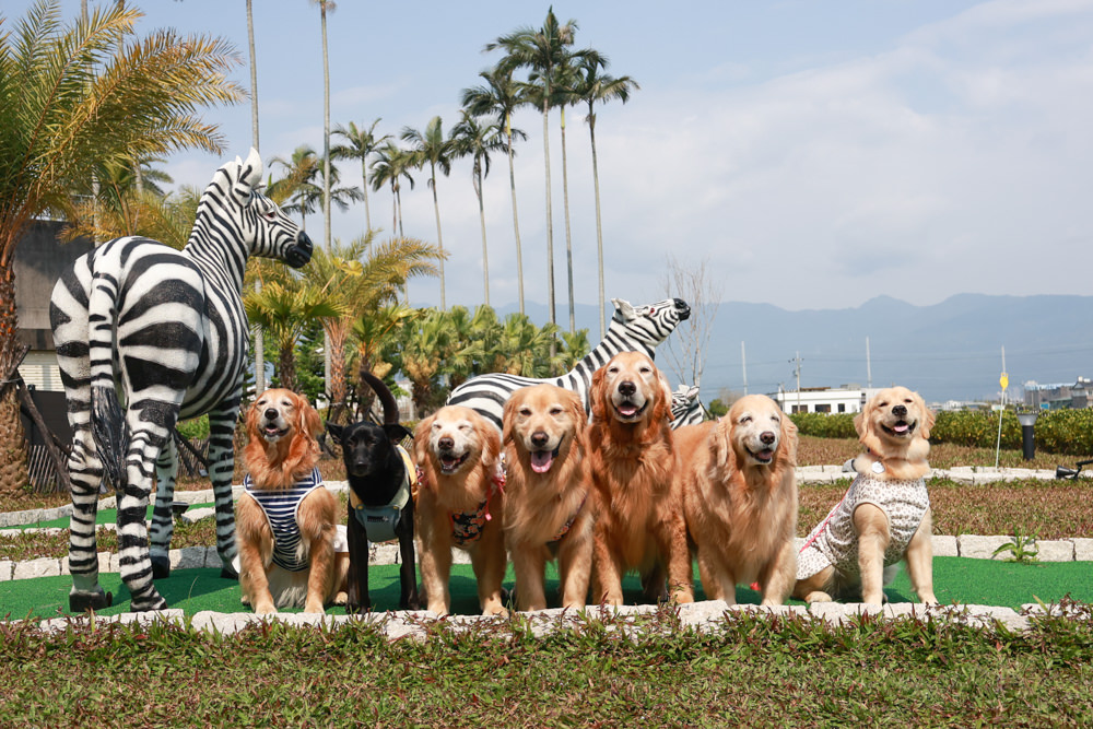 宜蘭壯圍生生園The Wild包棟民宿|森林系寵物友善民宿、動物園親子民宿、九宮格港點早餐 - 第1張圖 宜蘭壯圍生生園The Wild包棟民宿|森林系寵物友善民宿、動物園親子民宿、九宮格港點早餐