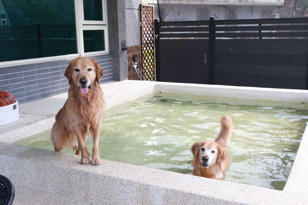 宜蘭壯圍生生園The Wild包棟民宿|森林系寵物友善民宿、動物園親子民宿、九宮格港點早餐 - 第10張圖 宜蘭壯圍生生園The Wild包棟民宿|森林系寵物友善民宿、動物園親子民宿、九宮格港點早餐