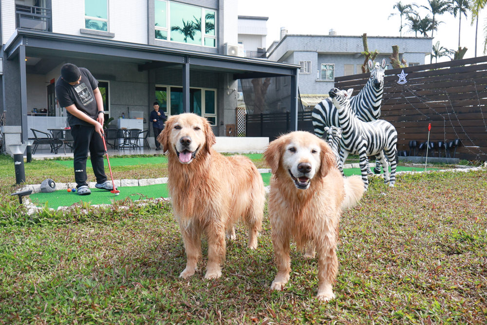 宜蘭壯圍生生園The Wild包棟民宿|森林系寵物友善民宿、動物園親子民宿、九宮格港點早餐 - 第8張圖 宜蘭壯圍生生園The Wild包棟民宿|森林系寵物友善民宿、動物園親子民宿、九宮格港點早餐