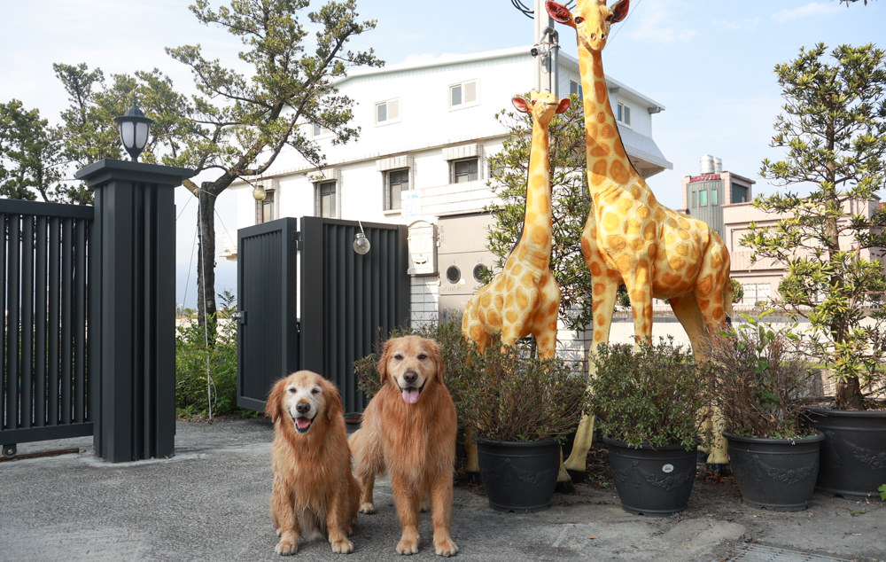 宜蘭壯圍生生園The Wild包棟民宿|森林系寵物友善民宿、動物園親子民宿、九宮格港點早餐 - 第3張圖 宜蘭壯圍生生園The Wild包棟民宿|森林系寵物友善民宿、動物園親子民宿、九宮格港點早餐