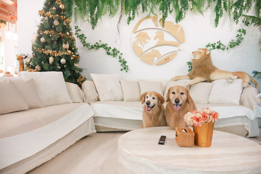 宜蘭壯圍生生園The Wild包棟民宿|森林系寵物友善民宿、動物園親子民宿、九宮格港點早餐 - 第14張圖 宜蘭壯圍生生園The Wild包棟民宿|森林系寵物友善民宿、動物園親子民宿、九宮格港點早餐