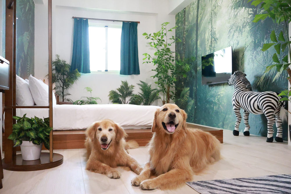 宜蘭壯圍生生園The Wild包棟民宿|森林系寵物友善民宿、動物園親子民宿、九宮格港點早餐– 洛基小聿媽